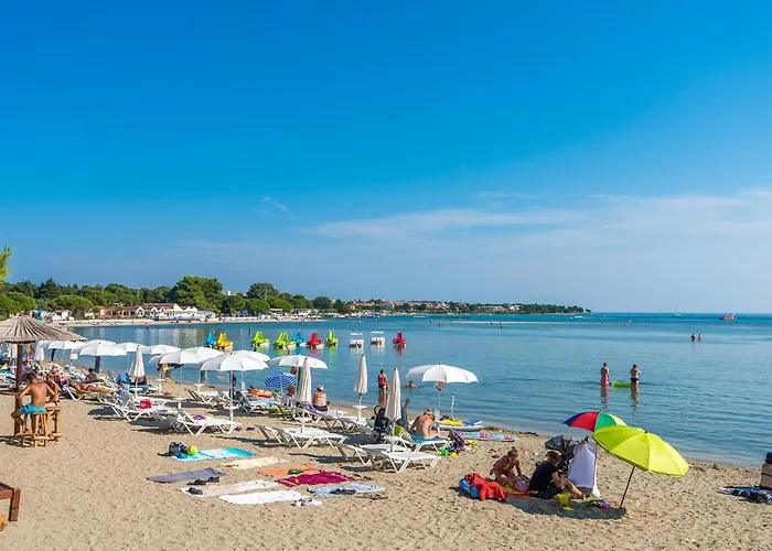 Cozy In Apartamento *