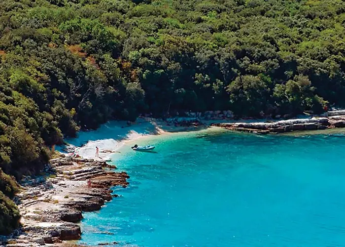 Cozy In Apartamento *